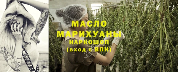 гидра Зеленодольск