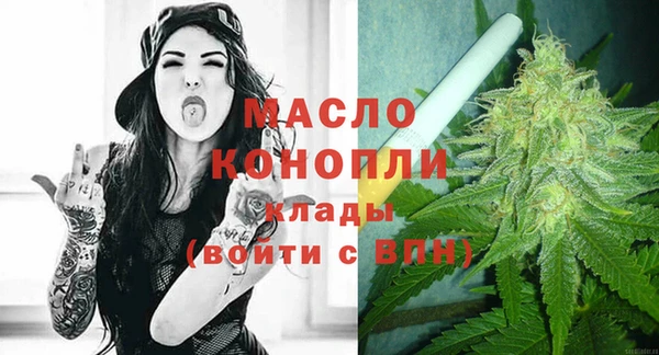 гидра Зеленодольск